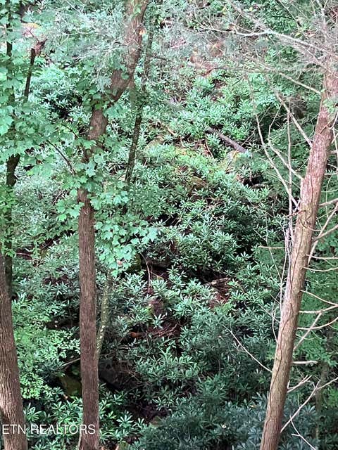 Tiny photo for 381 Lakewood Drive, Jamestown, TN 38556 (MLS # 1349643)