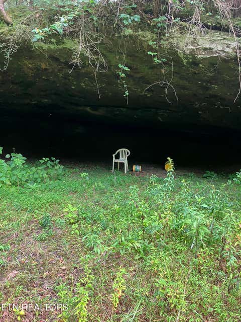 Tiny photo for 381 Lakewood Drive, Jamestown, TN 38556 (MLS # 1349643)