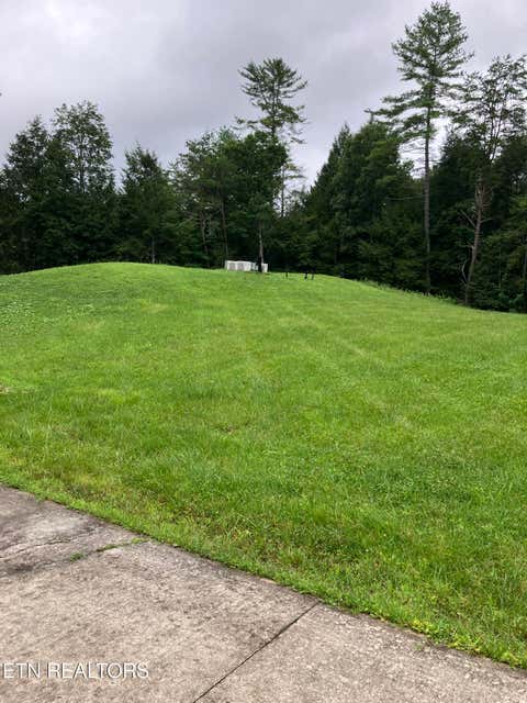 Tiny photo for 381 Lakewood Drive, Jamestown, TN 38556 (MLS # 1349643)