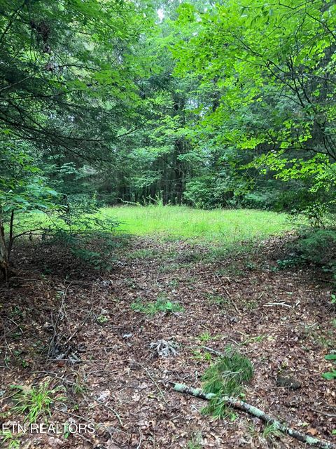 Tiny photo for 381 Lakewood Drive, Jamestown, TN 38556 (MLS # 1349643)
