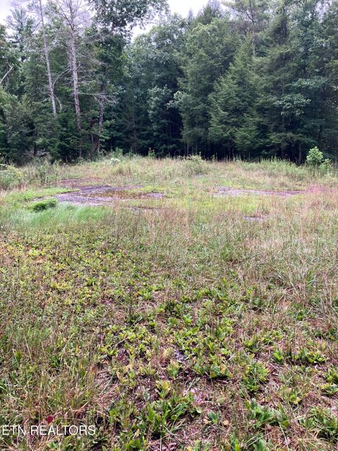 Tiny photo for 381 Lakewood Drive, Jamestown, TN 38556 (MLS # 1349643)