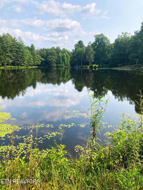 Tiny photo for 381 Lakewood Drive, Jamestown, TN 38556 (MLS # 1349643)