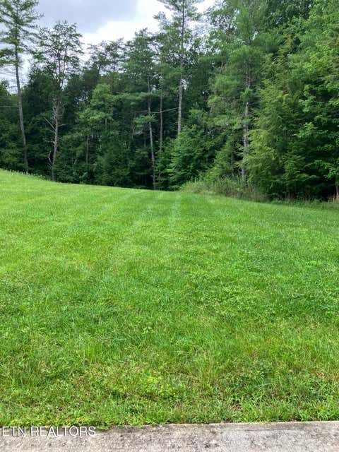 Tiny photo for 381 Lakewood Drive, Jamestown, TN 38556 (MLS # 1349643)