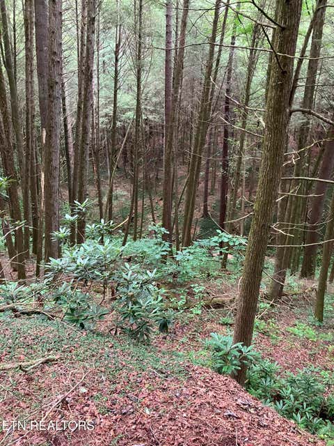 Tiny photo for 381 Lakewood Drive, Jamestown, TN 38556 (MLS # 1349643)