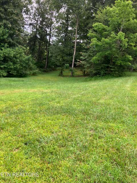 Tiny photo for 381 Lakewood Drive, Jamestown, TN 38556 (MLS # 1349643)