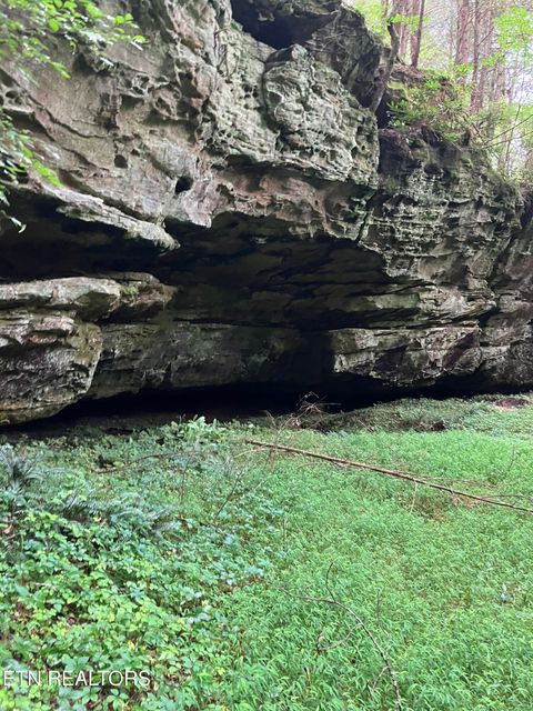 Tiny photo for 381 Lakewood Drive, Jamestown, TN 38556 (MLS # 1349643)