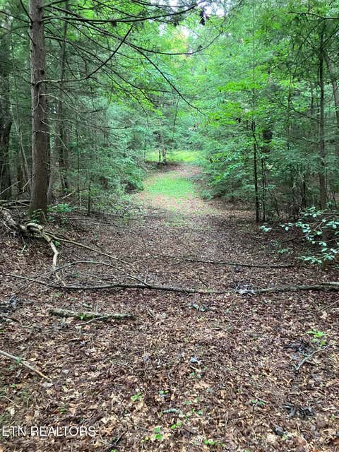 Tiny photo for 381 Lakewood Drive, Jamestown, TN 38556 (MLS # 1349643)