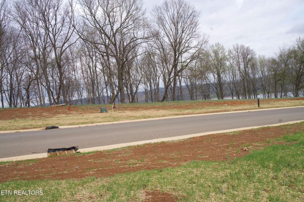 Photo of 4183 Old Dogwood Tr, Loudon, TN 37774 (MLS # 1332037)