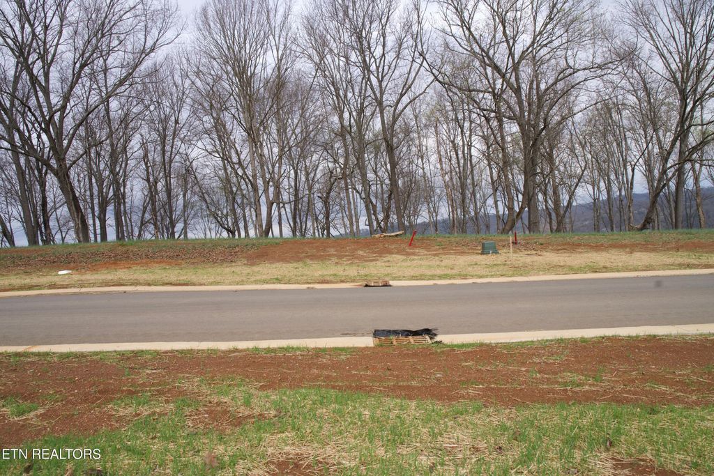 Photo of 4183 Old Dogwood Tr, Loudon, TN 37774 (MLS # 1332037)