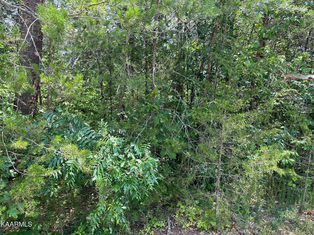 Photo of 109 Woodlake Blvd, Tazewell, TN 37879 (MLS # 1234417)