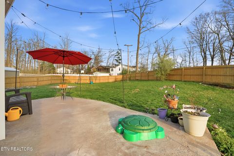 Tiny photo for 540 Cliff St, Morristown, TN 37814 (MLS # 1337359)