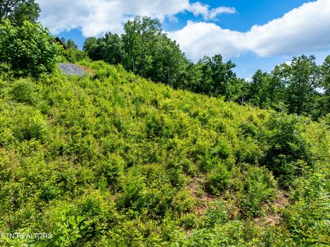 Tiny photo for 648 Almost Heaven Way, Gatlinburg, TN 37738 (MLS # 1325506)