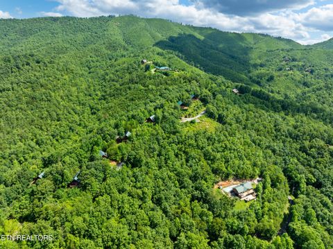 Tiny photo for 648 Almost Heaven Way, Gatlinburg, TN 37738 (MLS # 1325506)