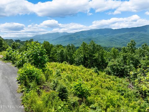 Tiny photo for 648 Almost Heaven Way, Gatlinburg, TN 37738 (MLS # 1325506)