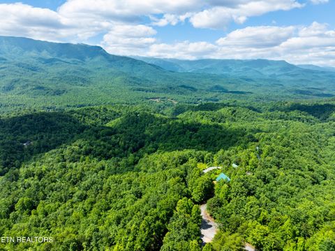 Tiny photo for 648 Almost Heaven Way, Gatlinburg, TN 37738 (MLS # 1325506)