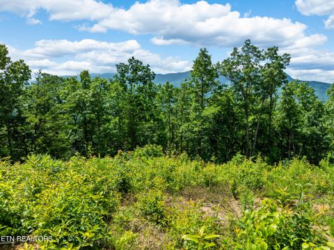 Tiny photo for 648 Almost Heaven Way, Gatlinburg, TN 37738 (MLS # 1325506)