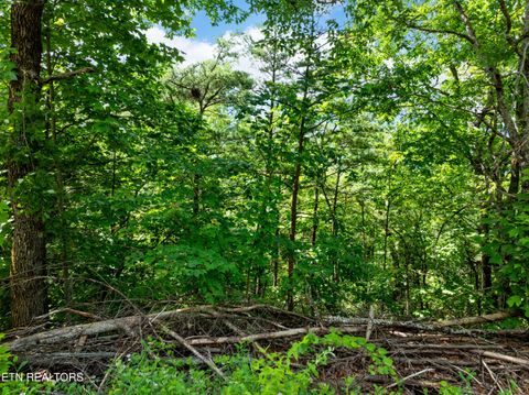 Tiny photo for 648 Almost Heaven Way, Gatlinburg, TN 37738 (MLS # 1325506)