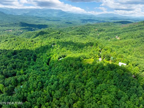 Tiny photo for 648 Almost Heaven Way, Gatlinburg, TN 37738 (MLS # 1325506)