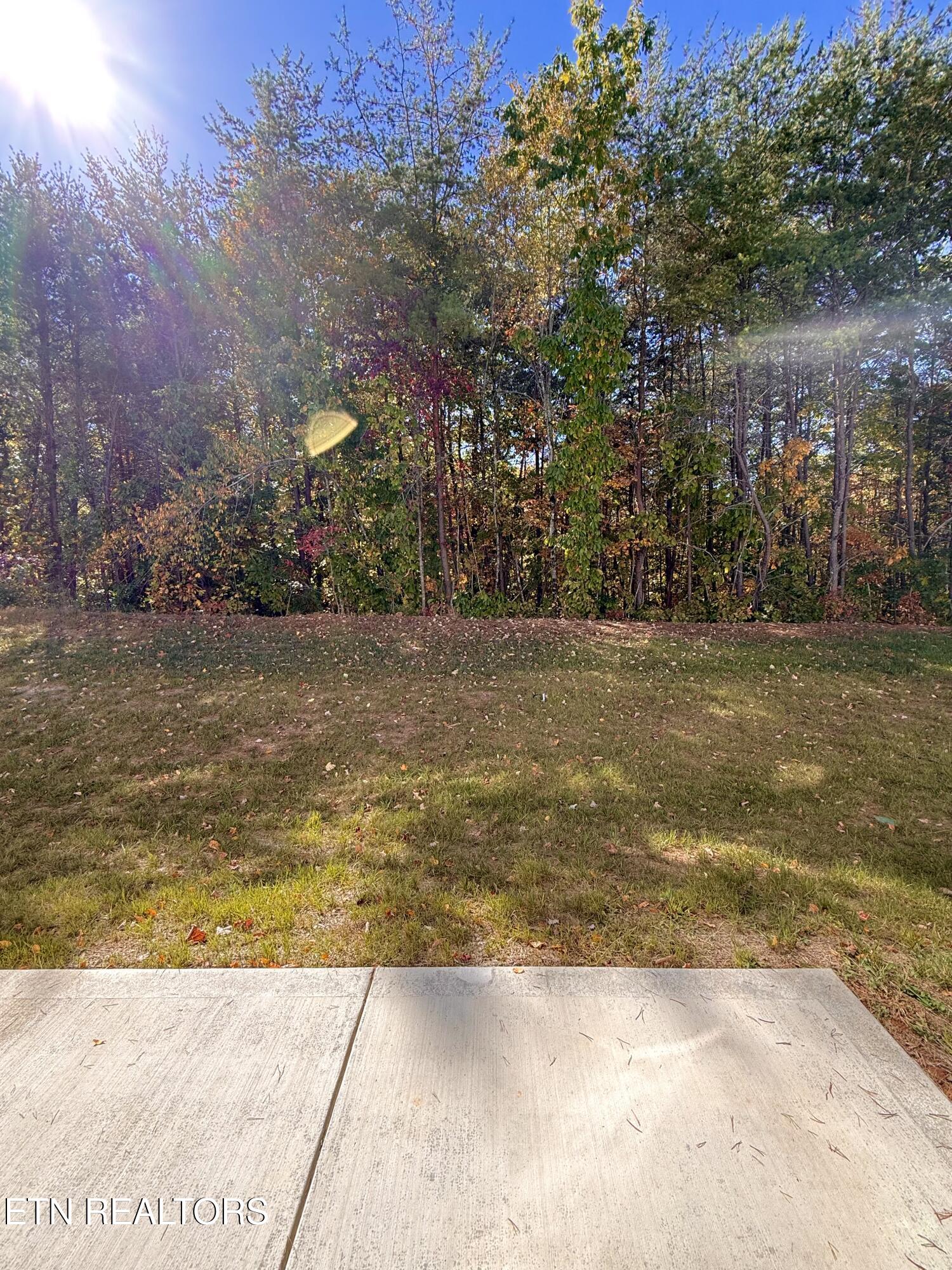 8845 Chapman Trace Way