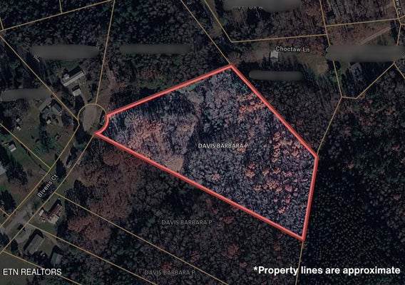 200 BIVENS CT, NIOTA, TN 37826 - Image bc0408abc5a8fda5a5180471decb64fb/2681394331