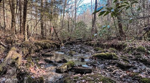 Tiny photo for Nashville Ave, Deer Lodge, TN 37726 (MLS # 1316916)