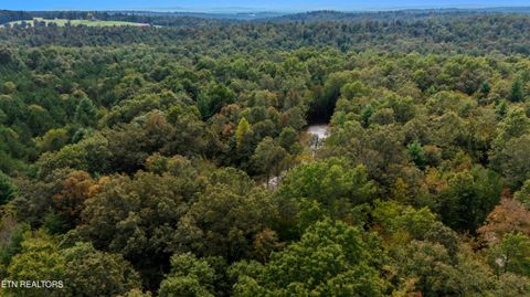 Tiny photo for Nashville Ave, Deer Lodge, TN 37726 (MLS # 1316916)
