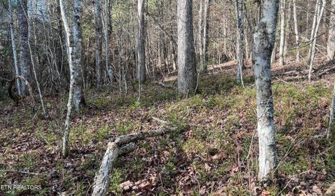 Tiny photo for Nashville Ave, Deer Lodge, TN 37726 (MLS # 1316916)