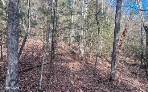 Tiny photo for Nashville Ave, Deer Lodge, TN 37726 (MLS # 1316916)