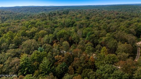 Tiny photo for Nashville Ave, Deer Lodge, TN 37726 (MLS # 1316916)