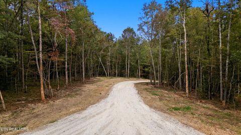 Tiny photo for Nashville Ave, Deer Lodge, TN 37726 (MLS # 1316916)