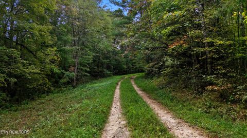 Tiny photo for Nashville Ave, Deer Lodge, TN 37726 (MLS # 1316916)