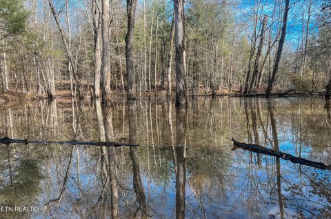 Tiny photo for Nashville Ave, Deer Lodge, TN 37726 (MLS # 1316916)