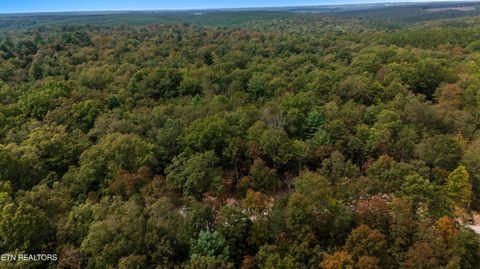 Tiny photo for Nashville Ave, Deer Lodge, TN 37726 (MLS # 1316916)