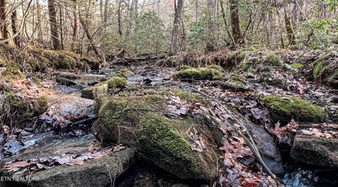 Tiny photo for Nashville Ave, Deer Lodge, TN 37726 (MLS # 1316916)