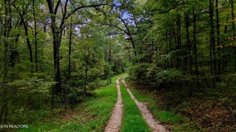 Tiny photo for Nashville Ave, Deer Lodge, TN 37726 (MLS # 1316916)