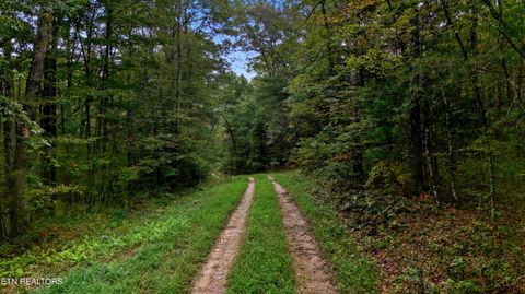 Tiny photo for Nashville Ave, Deer Lodge, TN 37726 (MLS # 1316916)