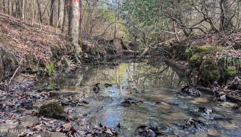 Tiny photo for Nashville Ave, Deer Lodge, TN 37726 (MLS # 1316916)
