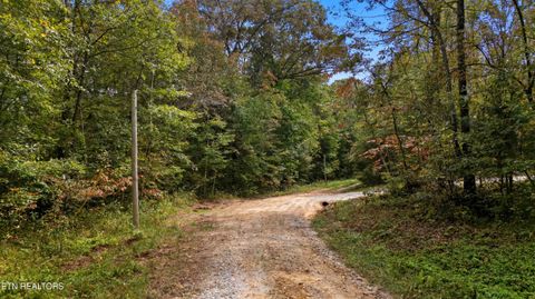 Tiny photo for Nashville Ave, Deer Lodge, TN 37726 (MLS # 1316916)