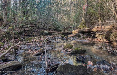 Tiny photo for Nashville Ave, Deer Lodge, TN 37726 (MLS # 1316916)