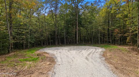 Tiny photo for Nashville Ave, Deer Lodge, TN 37726 (MLS # 1316916)