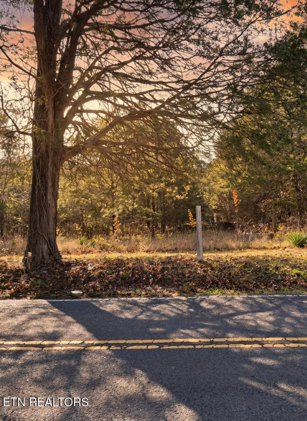 Photo of 3965 Couchville Pike, Hermitage, TN 37076 (MLS # 1323953)