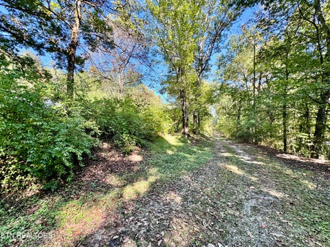 Tiny photo for 11829 Yarnell Rd, Knoxville, TN 37932 (MLS # 1359843)