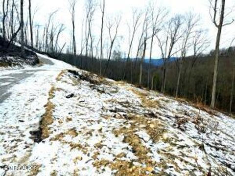 Tiny photo for 1922 Demory Rd, LaFollette, TN 37766 (MLS # 1328231)