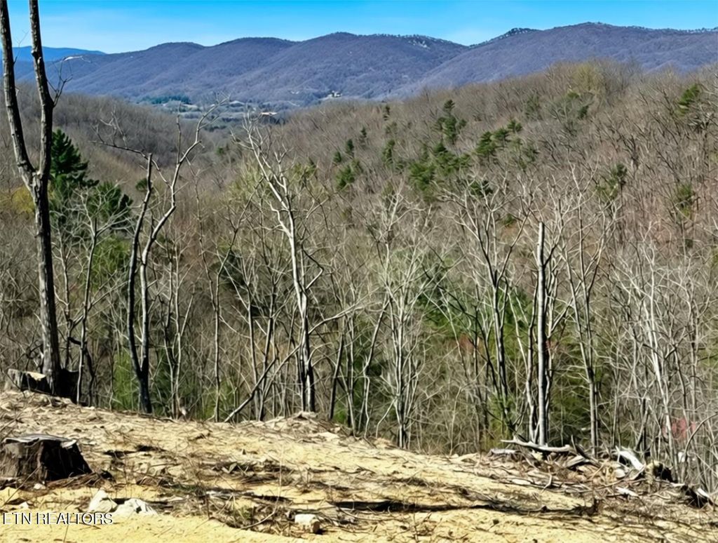 Photo of 1922 Demory Rd, LaFollette, TN 37766 (MLS # 1328231)