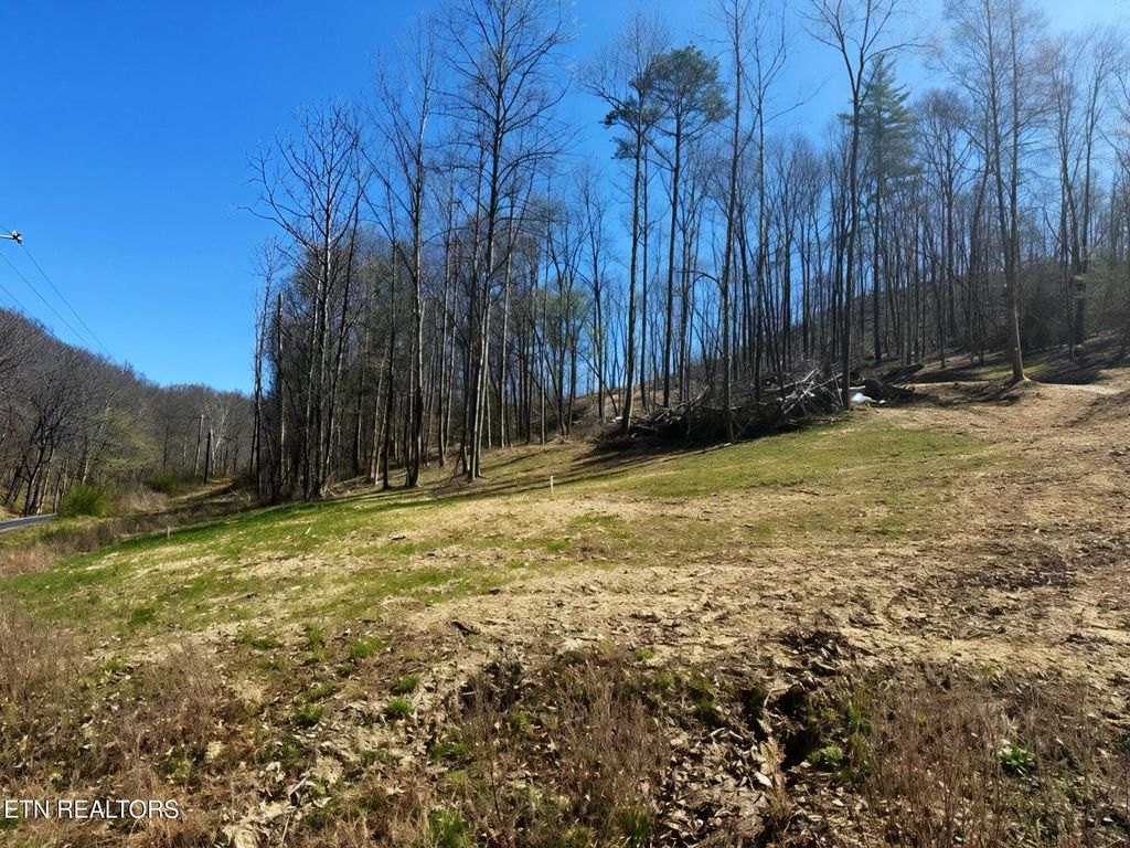 Photo of 1922 Demory Rd, LaFollette, TN 37766 (MLS # 1328231)