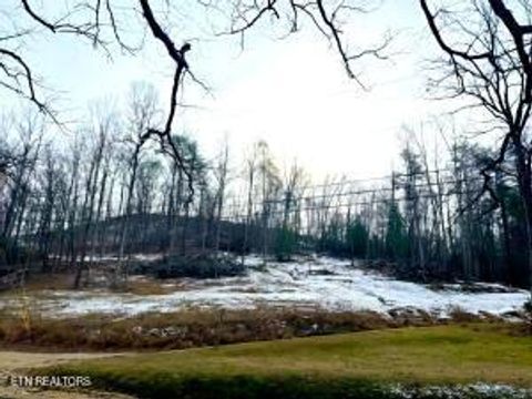 Photo of 1922 Demory Rd, LaFollette, TN 37766 (MLS # 1328231)