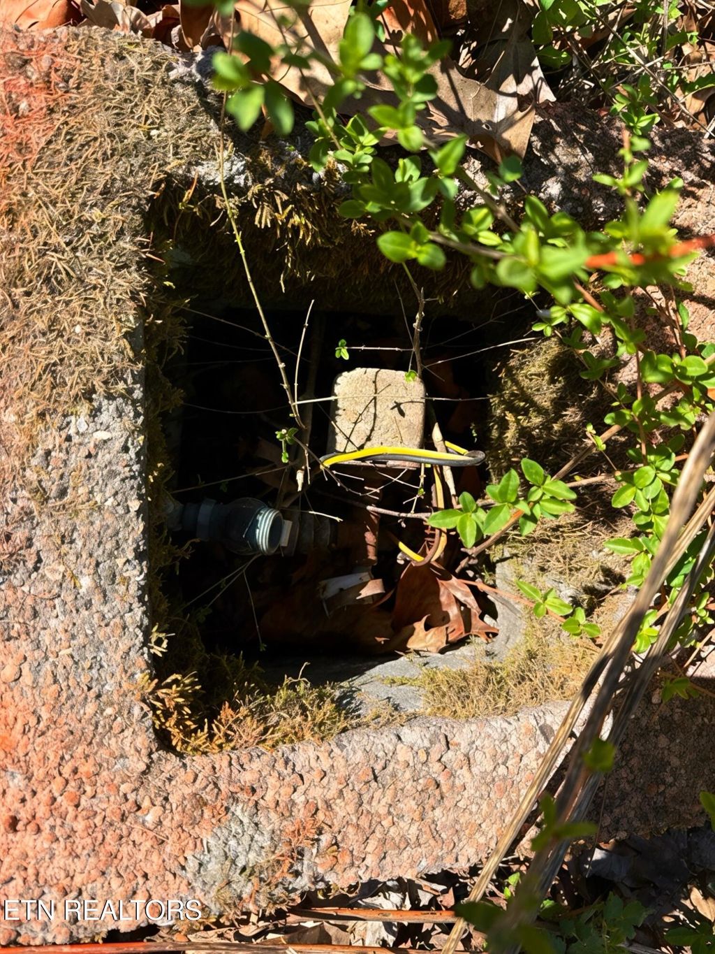 Photo of 1922 Demory Rd, LaFollette, TN 37766 (MLS # 1328231)