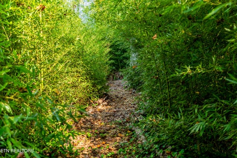 Tiny photo for 202 Maple Loop Rd, Knoxville, TN 37920 (MLS # 1358595)
