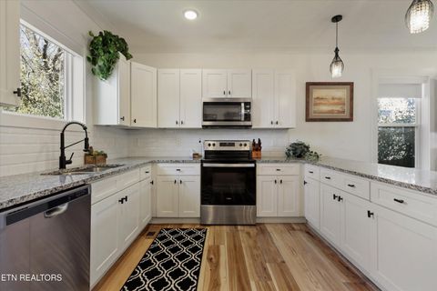 Tiny photo for 2301 E 5Th Ave, Knoxville, TN 37917 (MLS # 1334157)