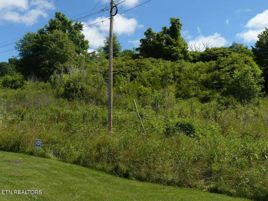 Photo of 734 Old Cave Springs Rd, Tazewell, TN 37879 (MLS # 1266368)